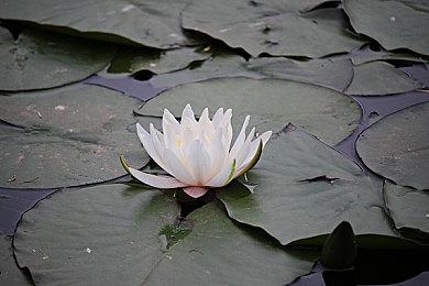 《你好邻居3》正式公布 登陆Steam发售日期待定